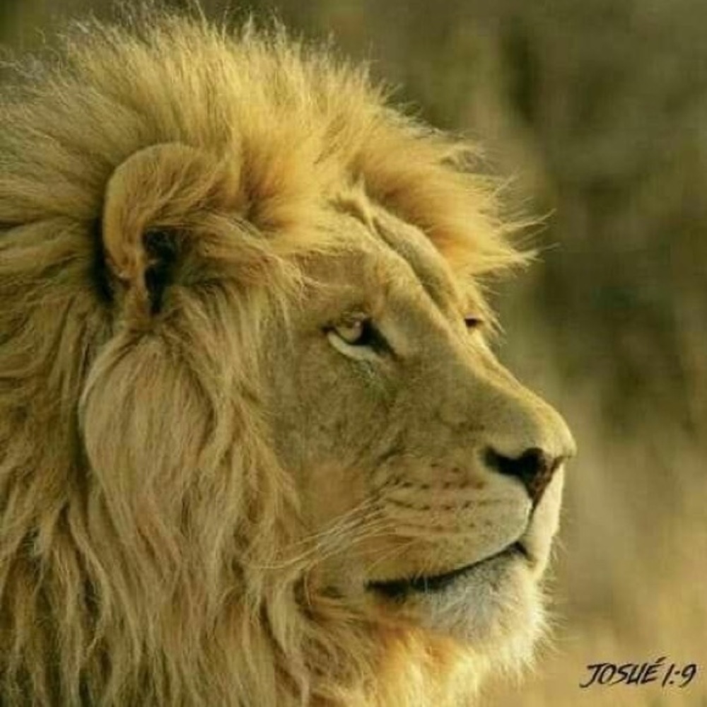 Meet your Posher, Yancy